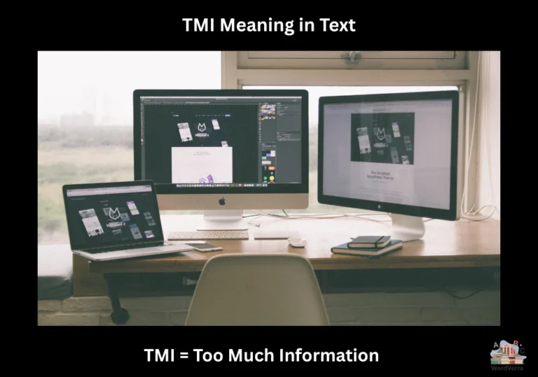 TMI Meaning in Text
