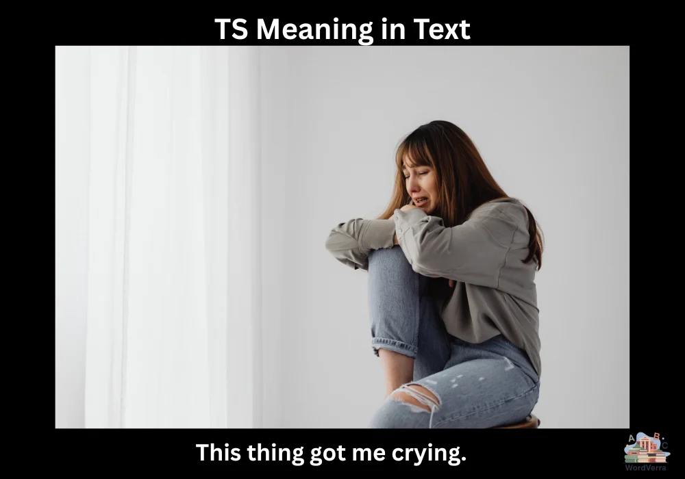TS Meaning in Text