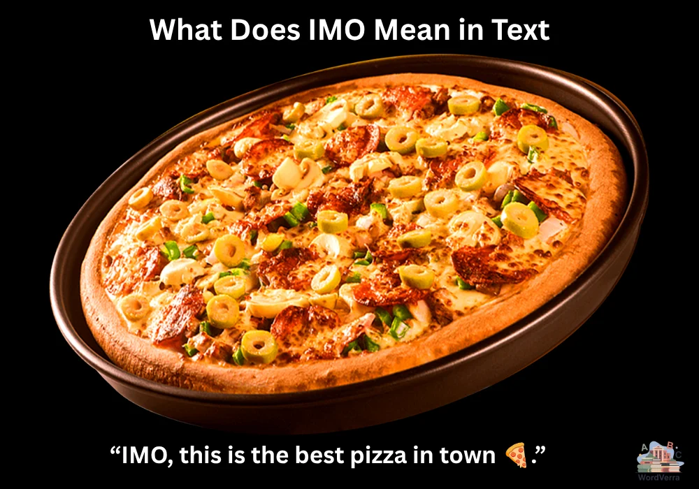 What Does IMO Mean in Text